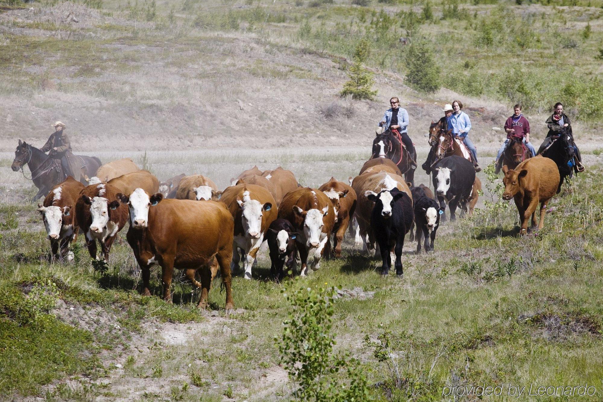 Echo Valley Ranch And Spa Clinton Luaran gambar